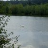 Fischen Drau 2008_15